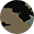 亚马逊